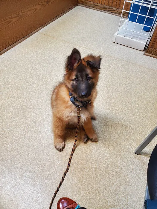 Family Pet Clinic 10