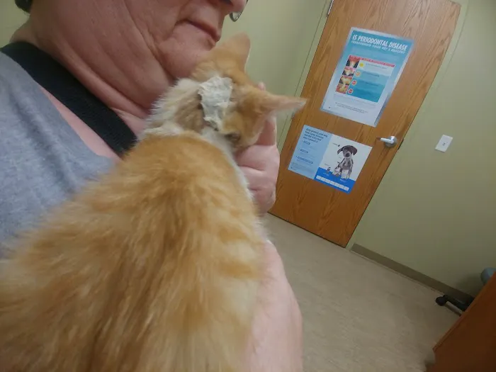 Healthy Paws Animal Clinic 12