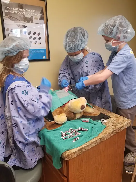 Healthy Paws Animal Clinic 12