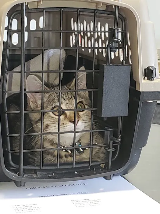 Lakeside Animal Hospital 12