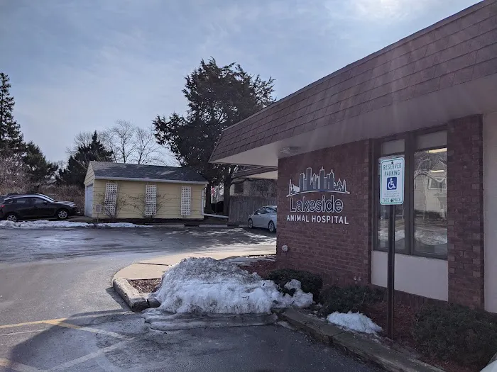 Lakeside Animal Hospital 12