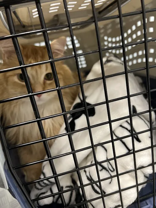 Lakeside Animal Hospital 12
