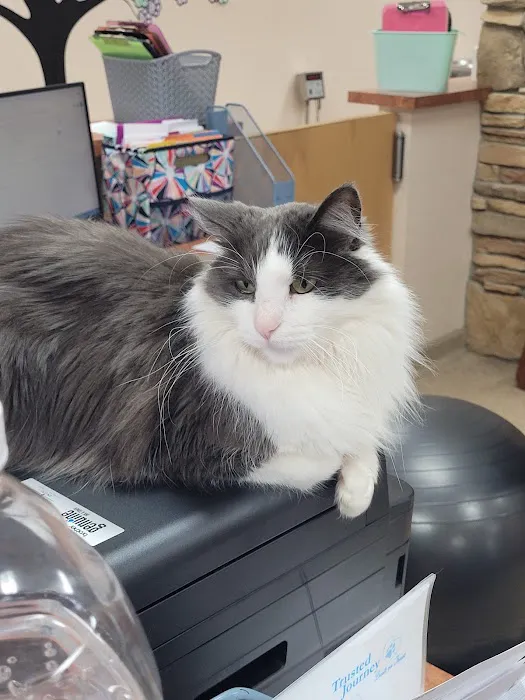 Crossroads Veterinary Clinic 2