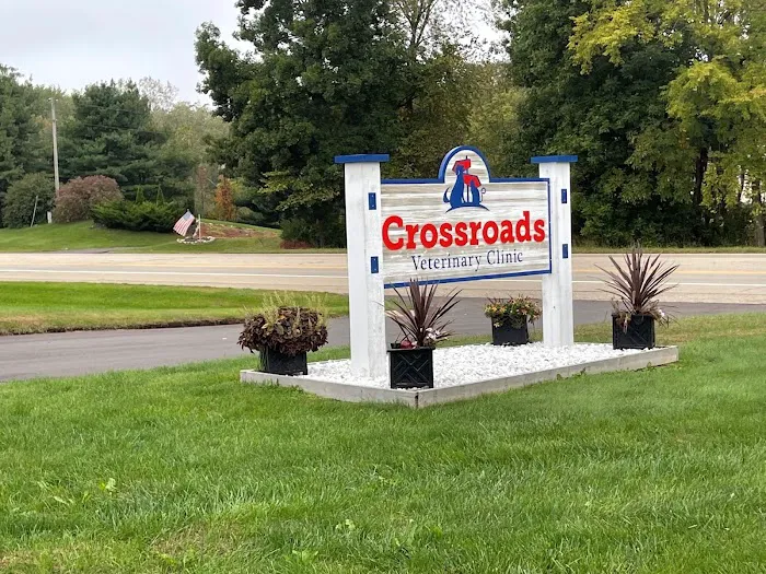 Crossroads Veterinary Clinic 9