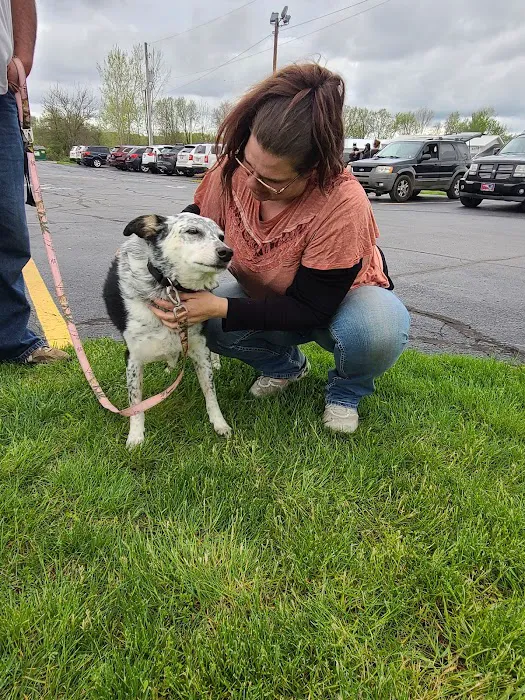 Crossroads Veterinary Clinic 7
