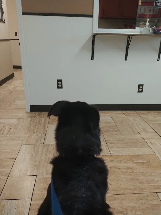Hedges Veterinary Hospital 6