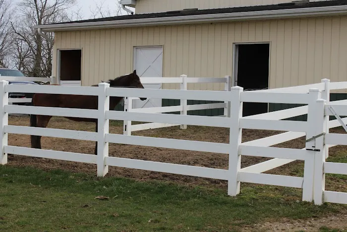Clinton Veterinary Service PC 7