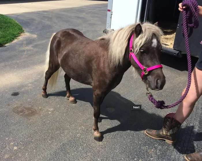 Clinton Veterinary Service PC 5