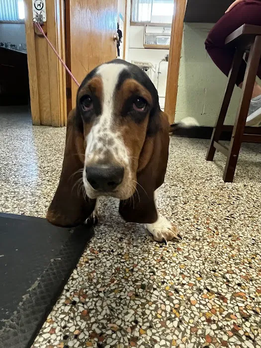 Ovid-Elsie Animal Clinic 4