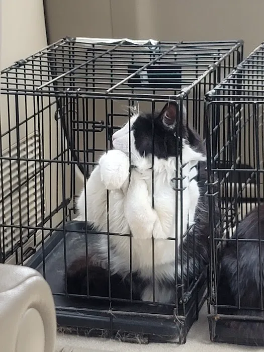 Animal Hospital of St Charles 5