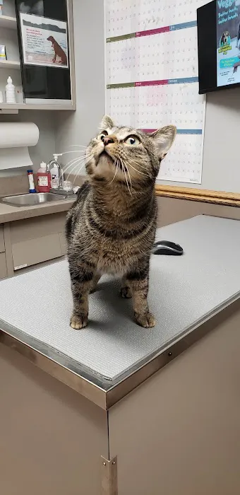 VCA Woodstock Veterinary Clinic 3