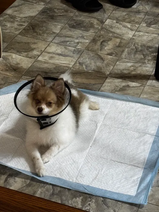 VCA Woodstock Veterinary Clinic 9