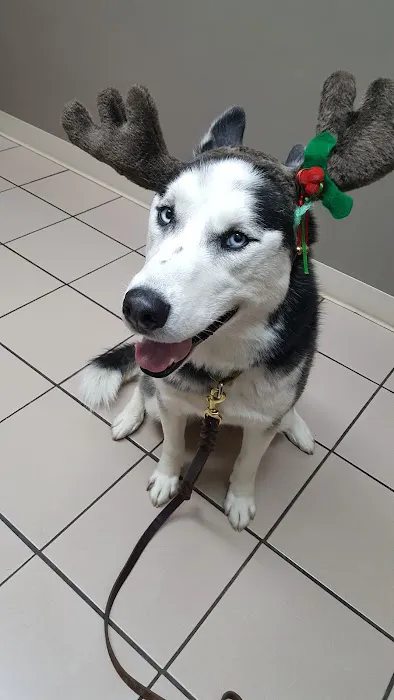 VCA Woodstock Veterinary Clinic 5