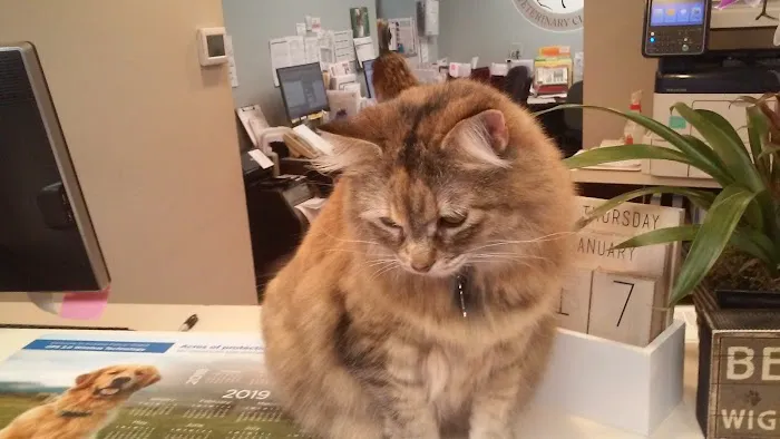 VCA Woodstock Veterinary Clinic 8