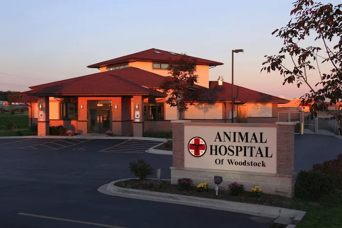 Animal Hospital of Woodstock 3