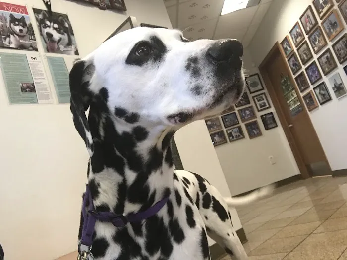 Animal Hospital of Woodstock 7