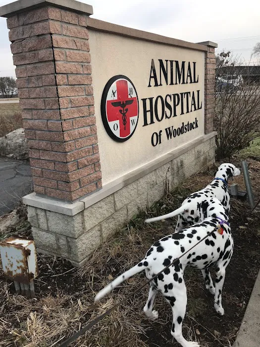 Animal Hospital of Woodstock 9
