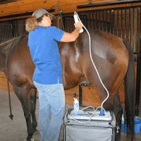 Cutting Edge Equine Veterinary ico