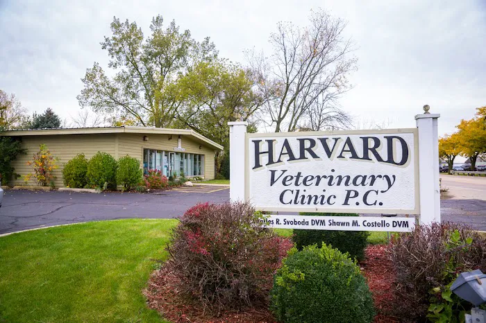 Harvard Veterinary Clinic 12