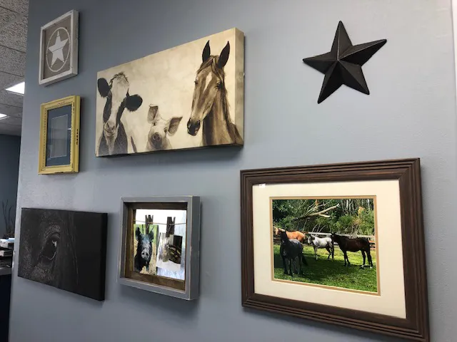 Harvard Veterinary Clinic 12