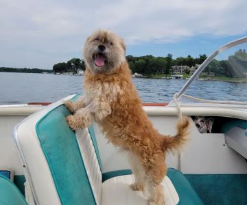 Delavan Animal Clinic Inc