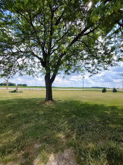 Delavan Animal Clinic Inc 10
