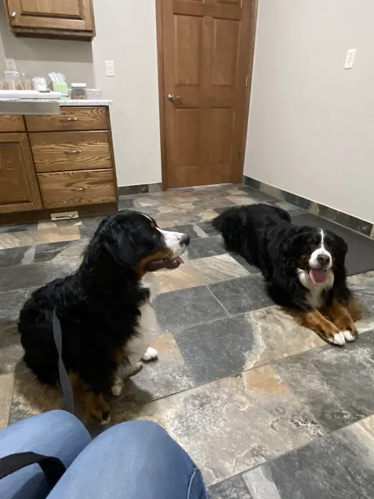 Kettle View Veterinary Clinic 4
