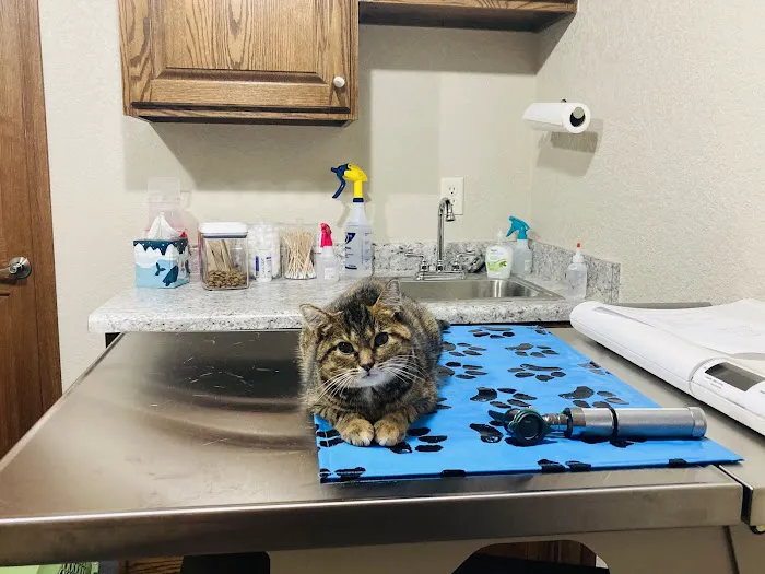 Kettle View Veterinary Clinic 5