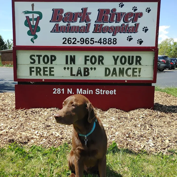 Bark River Animal Hospital 5