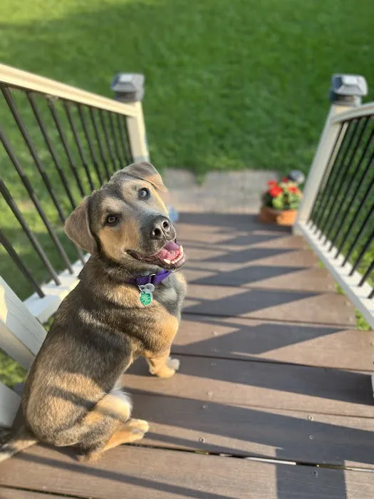 Bark River Animal Hospital 8