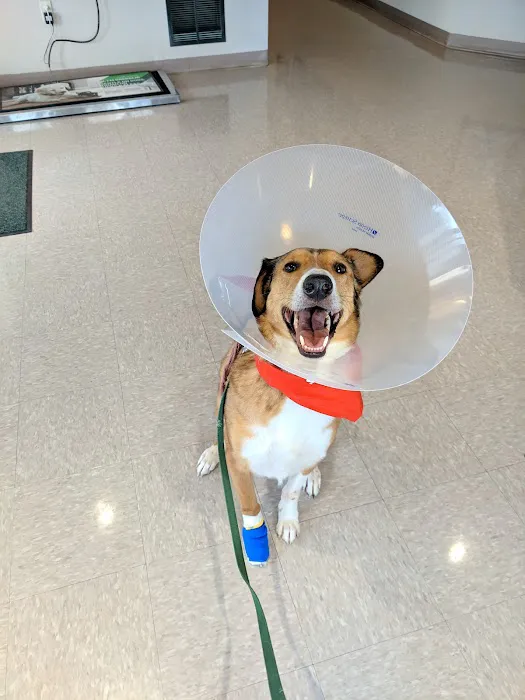 Bark River Animal Hospital 10
