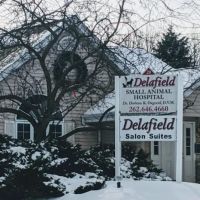 Delafield Small Animal Hospital ico