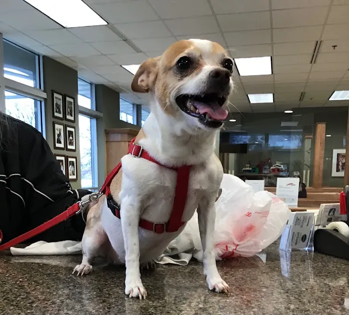 Pewaukee Veterinary Service 3