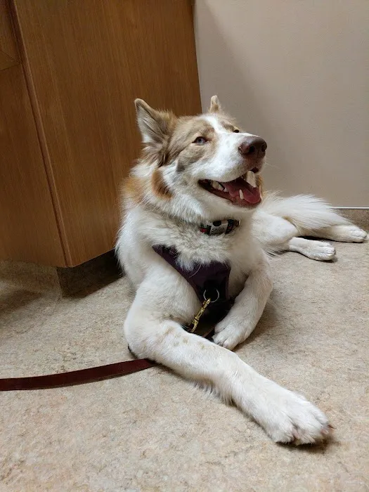 Pewaukee Veterinary Service 6