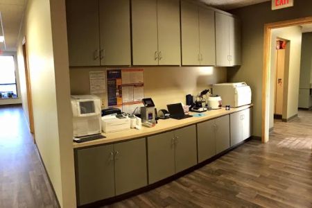 Integrative Veterinary Service