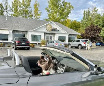 Eye Care for Animals - Pewaukee