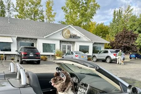 Eye Care for Animals - Pewaukee