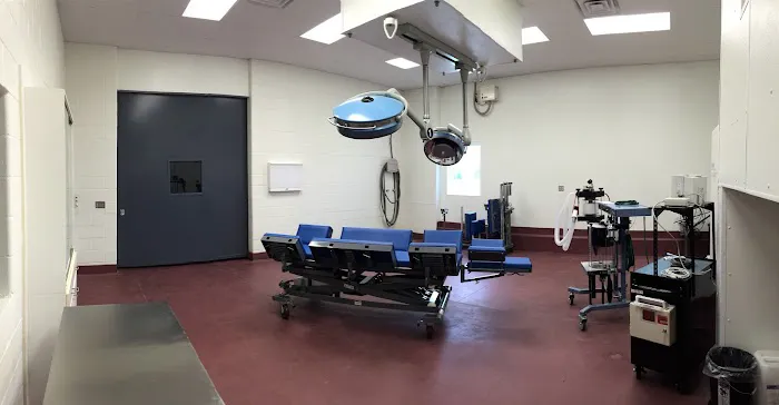 Turtle Valley Equine Hospital 12