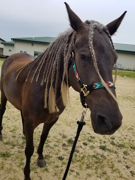 Turtle Valley Equine Hospital 12