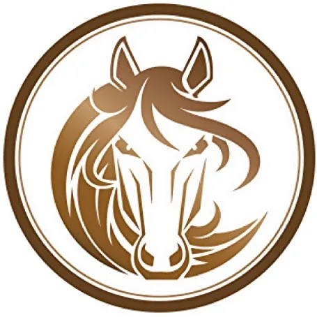 Turtle Valley Equine Hospital 12