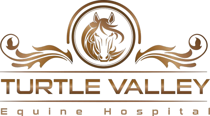 Turtle Valley Equine Hospital 12