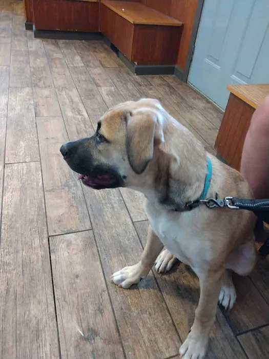 Monon Veterinary Clinic 12