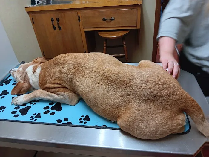 Manchester Veterinary Clinic & Supply 12