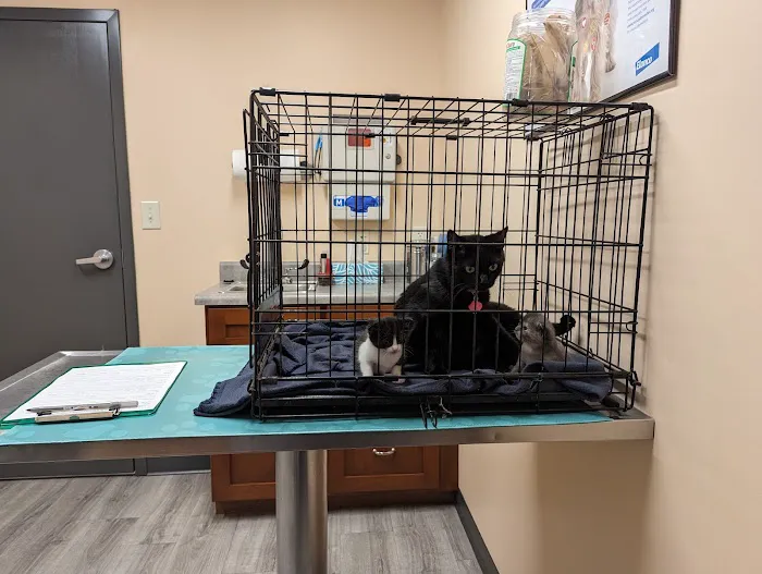 Miami County Veterinary Clinic 2