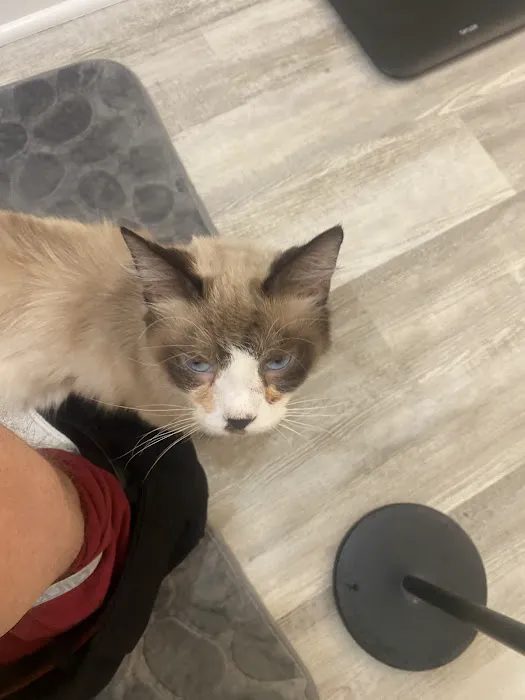 Miami County Veterinary Clinic 10