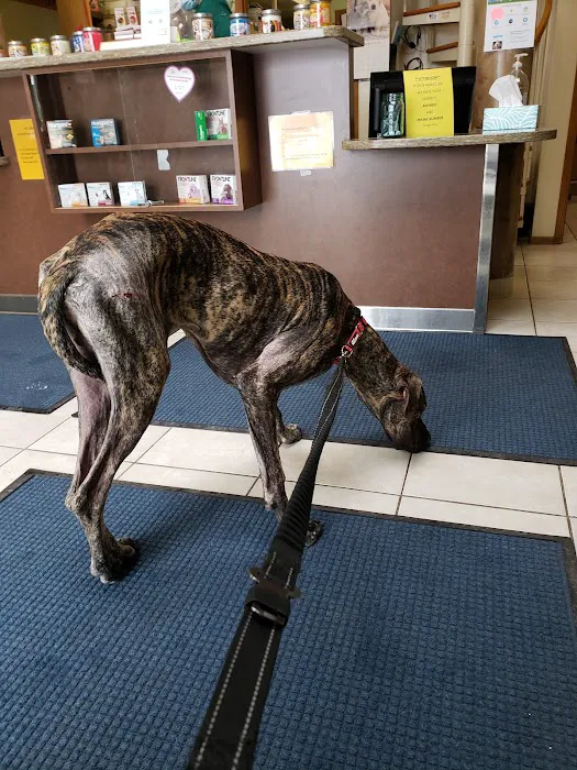 Cornerstone Veterinary Services Inc 5