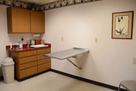 Shell Animal Clinic