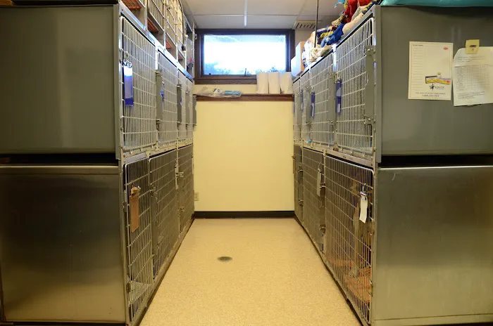 Shell Animal Clinic 8