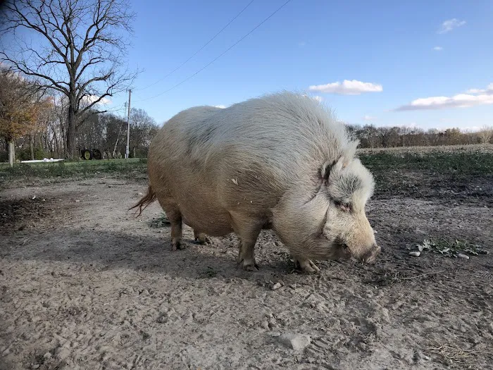 Cass County Animal Hospital 4