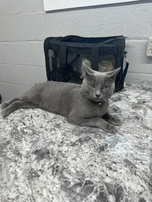 Wabash Veterinary Hospital 7